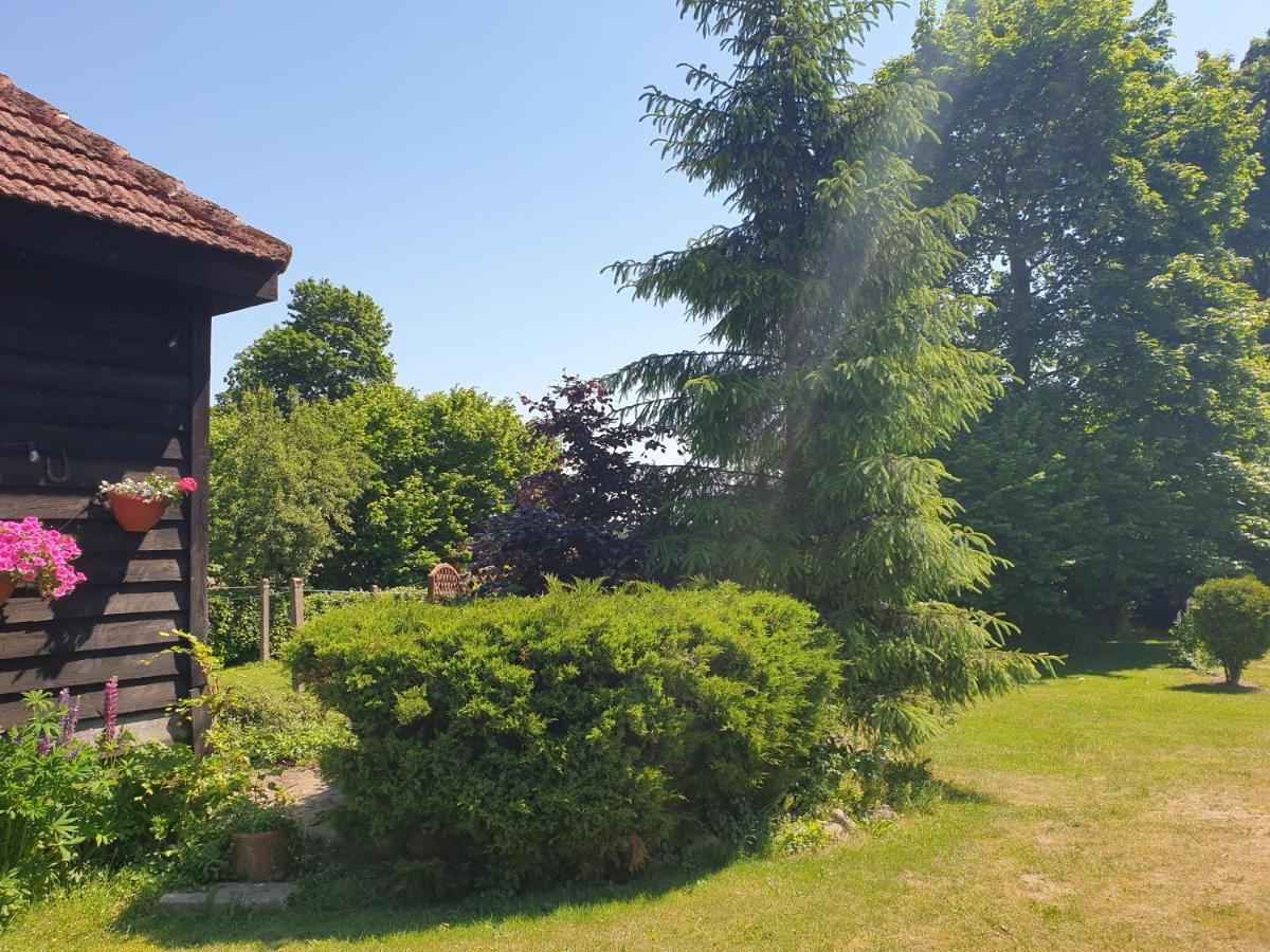 Folwark Goscino-Dwor Panzió Kültér fotó